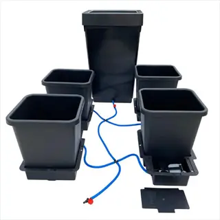 black plant pots water tray system with blue irrigation tubes and square containers