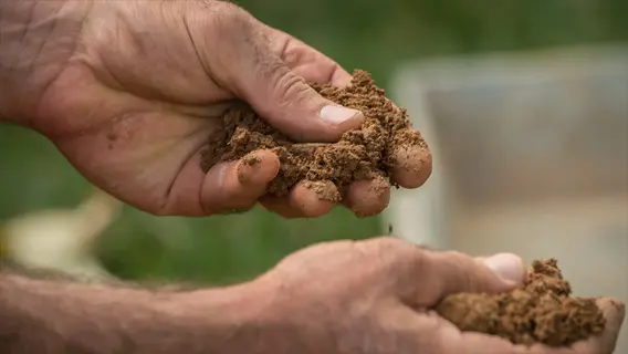 close-up of hand squeezing garden soil over another hand