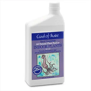 coast of maine liquid fertilizer concentrate bottle for indoor plants with squid label
