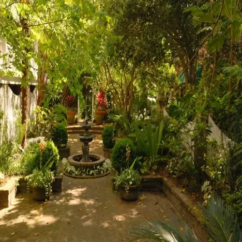 courtyard fountain surrounded by shady garden shrubs and lush potted plants