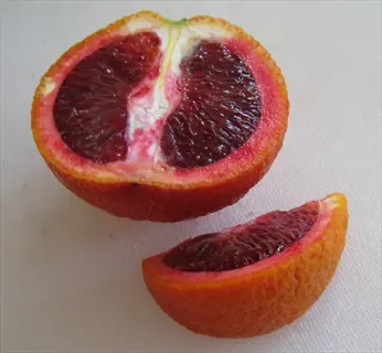cut tarocco rosso orange with deep red flesh and a wedge on a light surface