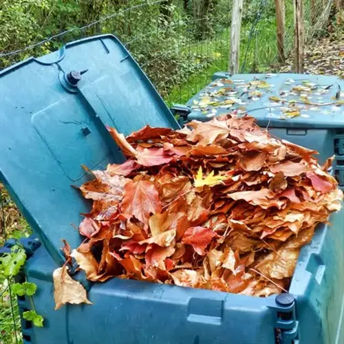 fall leaves compost pile in an open blue outdoor compost bin