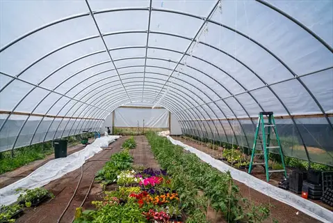 garden beds inside a greenhouse with perforated plastic row tunnel covers