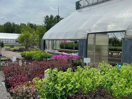 garden center plants displayed outside a greenhouse nursery