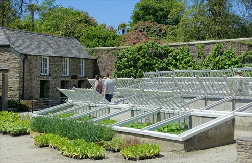 garden cold frame beds with seedlings in a walled garden beside a stone building