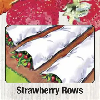 garden quilt frost cover protecting strawberry rows in a garden illustration