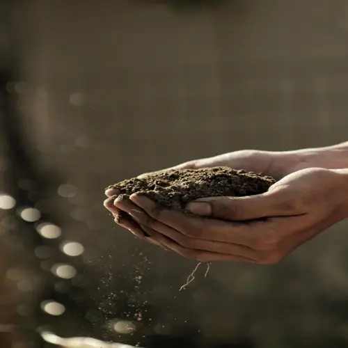 garden soil sample hand holding loose dirt as soil falls in sunlight