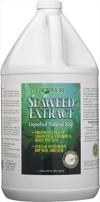 grow more seaweed extract fertilizer in a one-gallon bottle with green kelp product label