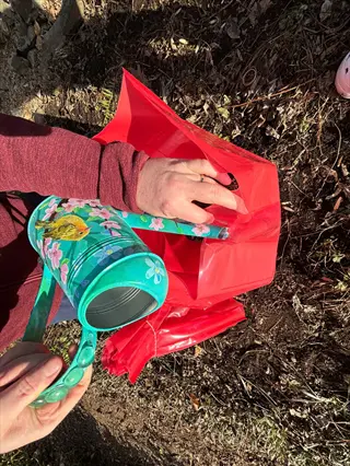 hands with floral watering can by a red bag and plastic row cover hoops in a garden