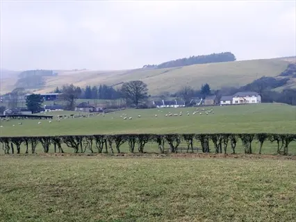hawthorn hedge bordering green pasture with sheep, farmhouses and rolling hills under a cloudy sky