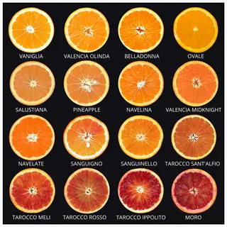 labeled citrus slices including tarocco ippolito orange and other orange varieties