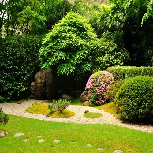lush backyard tea garden with green lawn, gravel path, rocks, shrubs, and pink flowers