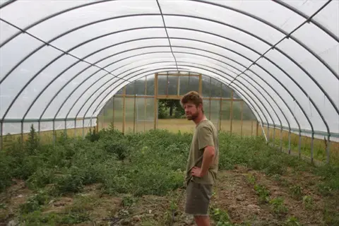 man standing in a mini hoop tunnel garden filled with leafy plants
