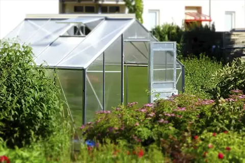 mini patio greenhouse in a lush garden with flowers and shrubs