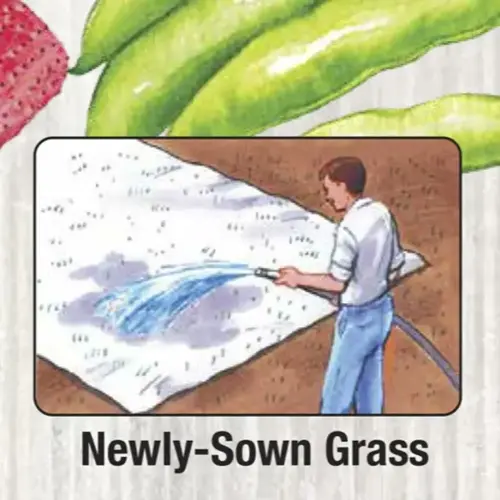 person watering a row cover garden bed for newly sown grass