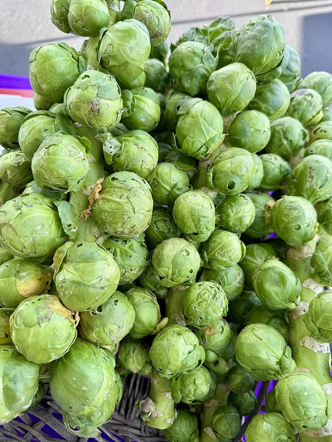 Brussels Sprouts