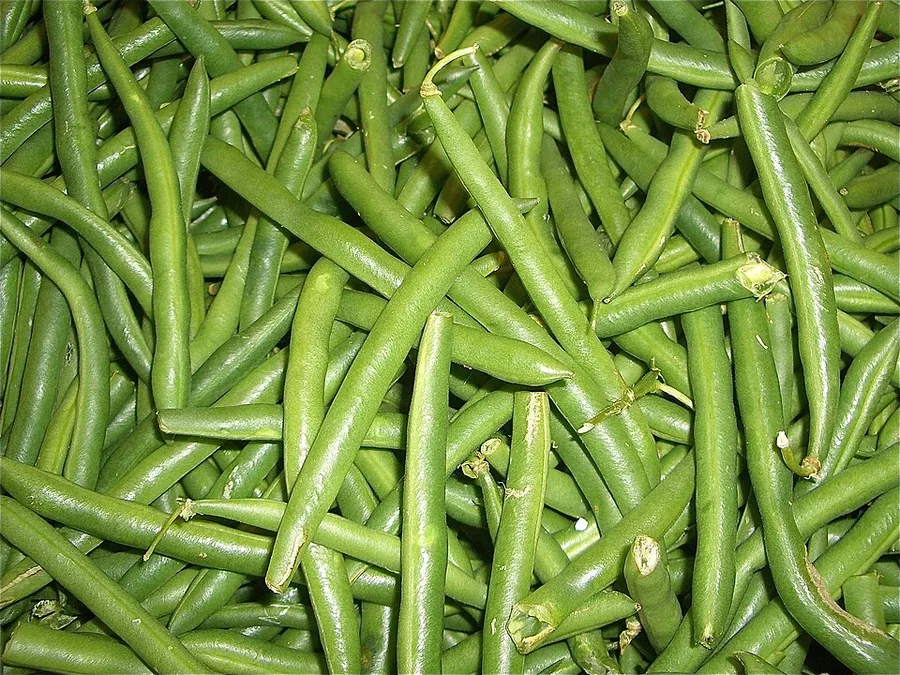 Green Bean