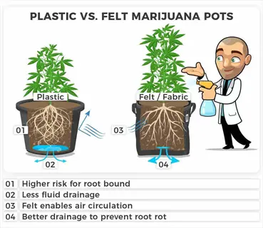 plastic vs felt draining houseplant pot comparison with roots, drainage arrows, and a cartoon gardener