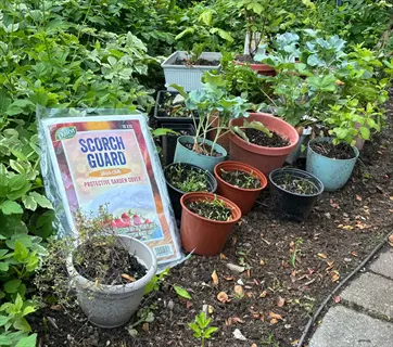 potted garden plants beside a packaged garden shade cloth on soil near paving