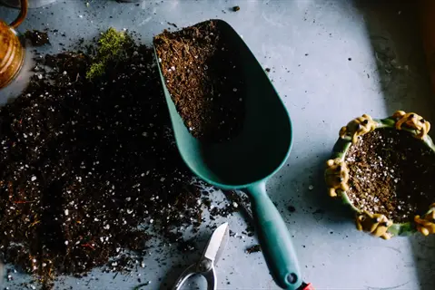 potting soil close up with trowel, scattered soil, and small planters on a work surface
