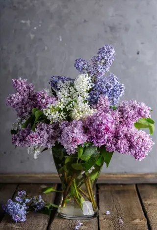 purple lilac blooms with white and blue flowers in a glass vase on a wooden table