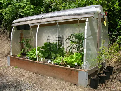 raised bed garden cloche plant shelter with leafy vegetables and trellises outdoors