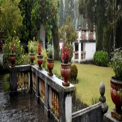 residential rain garden with wet stone terrace, potted flowers, lawn, and white balustrades
