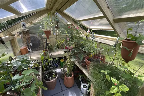 small backyard greenhouse filled with potted plants, hanging pots, and gardening tools