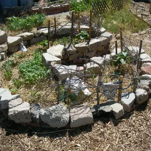 stone herb spiral garden with rock borders, young plants, twig supports, and mulch