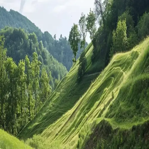 vegetated slope erosion on grassy hillside with forested hills and sunlight