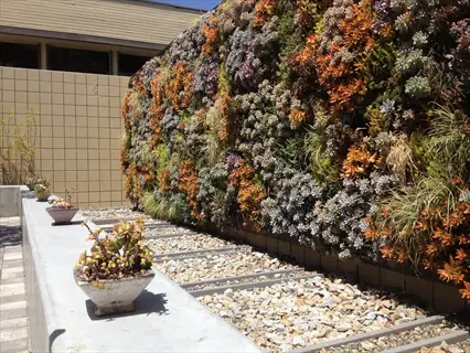 vertical living wall succulents along a gravel courtyard with potted plants