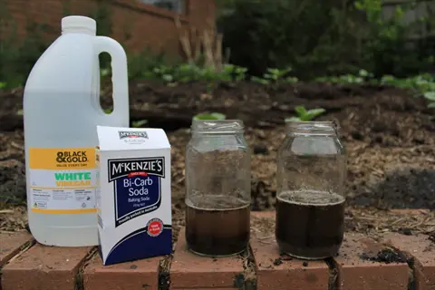 vinegar baking soda soil test with bottles, box, and muddy jars on a brick garden edge
