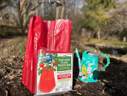 wall of water tomato plant protector package with red covers and a teal watering can in a garden
