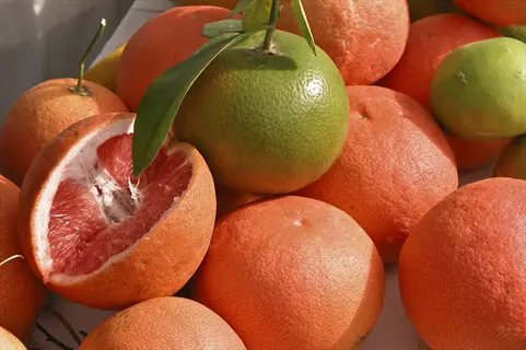 whole and sliced star ruby grapefruit with leaves in sunlight