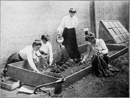 women tending a spinach cold frame beside a brick wall