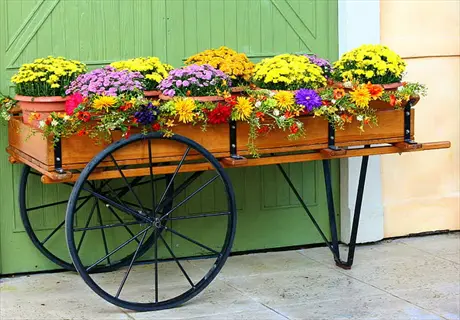 wooden garden wagon cart filled with colorful potted flowers by green doors
