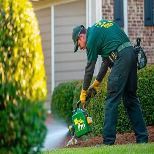 worker uses a liquid fertilizer watering can to treat shrubs outside a home